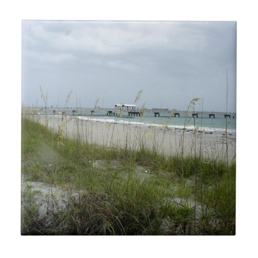Blustery Tag am Strand Fliese (Vorderseite)