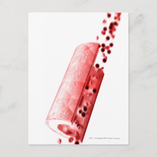 Blut, das durch eine Arterie fließt Postkarte (Vorderseite)