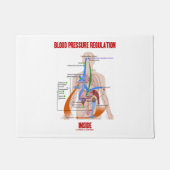 Blut-Druckregulation innerhalb anatomischen Fußmatte (Vorderseite)