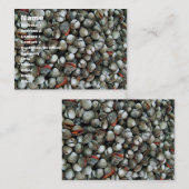 Blut-Herzmuschel-Muscheln Visitenkarte (Vorne/Hinten)