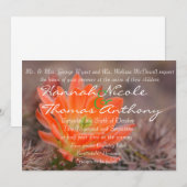 Blut in Orange Einladung (Vorne/Hinten)