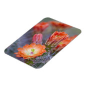 Blut in Orange Magnet (Linke Seite)
