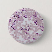 Blut-Parasit Trypanosoma Button (Vorderseite)