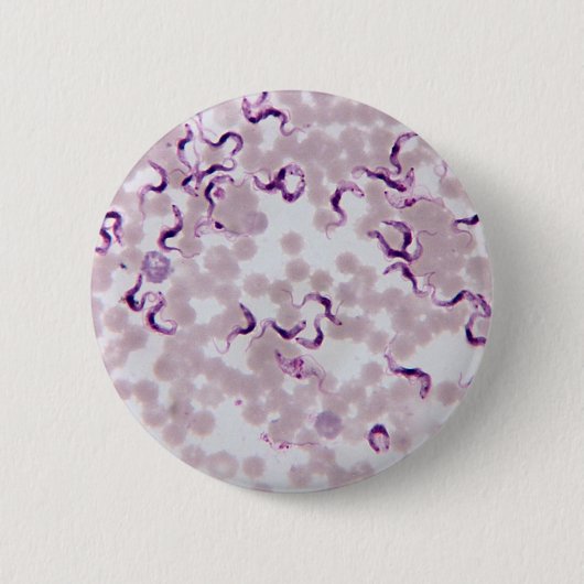 Blut-Parasit Trypanosoma Button (Vorderseite)