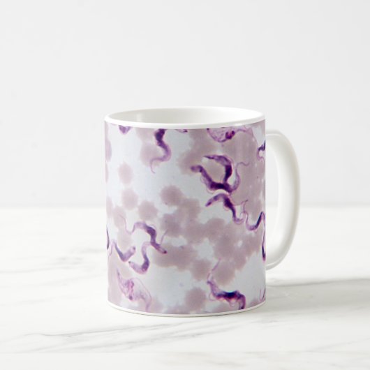 Blut-Parasit Trypanosoma Kaffeetasse (VorderseiteRechts)
