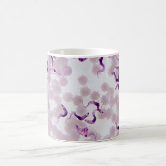 Blut-Parasit Trypanosoma Kaffeetasse (Mittel)