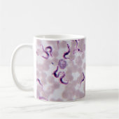 Blut-Parasit Trypanosoma Kaffeetasse (Links)