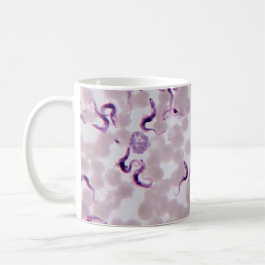 Blut-Parasit Trypanosoma Kaffeetasse (Links)