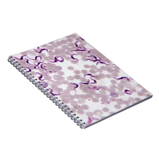 Blut-Parasit Trypanosoma Notizblock (Rechte Seite)