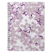 Blut-Parasit Trypanosoma Notizblock (Vorderseite)