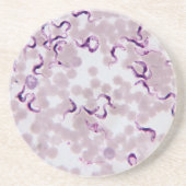 Blut-Parasit Trypanosoma Untersetzer (Vorne)