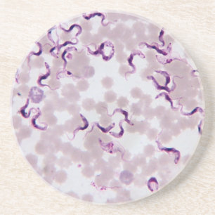 Blut-Parasit Trypanosoma Untersetzer