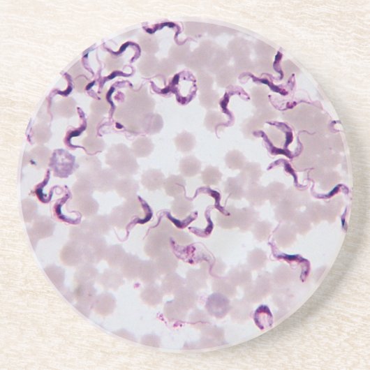 Blut-Parasit Trypanosoma Untersetzer (Vorne)