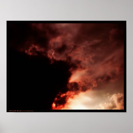 Blut rot poster (Vorne)