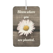 Blut, wo Sie gepflanzt sind Autolufterfrischer (Vorderseite)