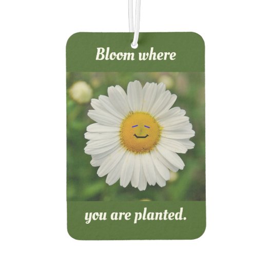 Blut, wo Sie gepflanzt sind Autolufterfrischer (Rückseite)