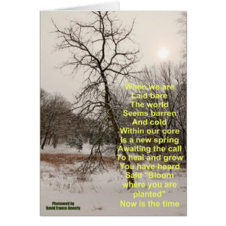 Blut, wo Sie gepflanzt werden