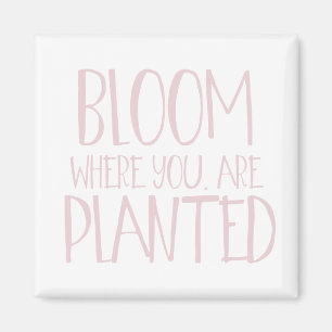 Blut, wo Sie gepflanzt werden Magnet