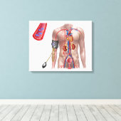 Blutdruck und Kreislauf Leinwanddruck (Insitu (Holzboden))