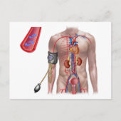 Blutdruck und Kreislauf Postkarte (Vorderseite)