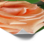 Blutdruckschmerzen Rose Abstrakt Poster (Ecke)