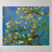 Blüte Almond Tree von Vincent van Gogh Poster (Vorne)
