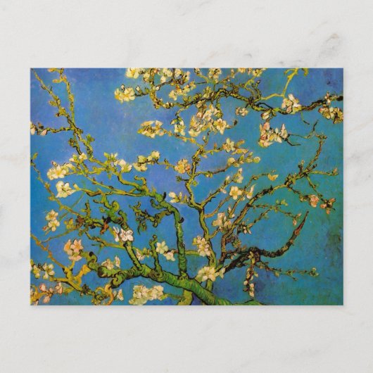 Blüte Almond Tree von Vincent van Gogh Postkarte (Vorderseite)