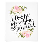 Blüte | Art Print Fotodruck (Vorne)