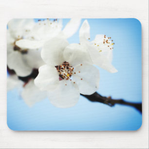 Blüte bewölkt Mousepad