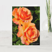 Blüte der orangen Rose Karte (Vorderseite)