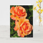 Blüte der orangen Rose Karte (Gelbe Blume)