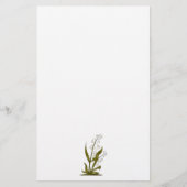 Blüte der Wanzen-"n" · Maiglöckchen Briefpapier (Vorderseite)