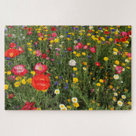 Blüte der Wildblume - Mohnblumen, Gänseblüten Puzzle