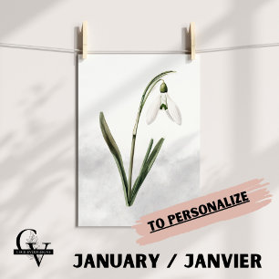 Blüte des botanischen aquarellischen Schneebrettic Poster
