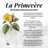 Blüte des botanischen Februar Poster