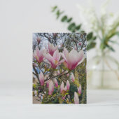 Blüte großer rosa magnolischer Blume Postkarte (Stehend Vorderseite)