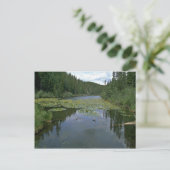 Blüte im Wasser Postkarte (Stehend Vorderseite)