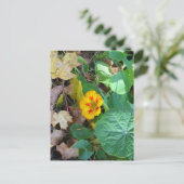 Blüte in Blättern Postkarte (Stehend Vorderseite)
