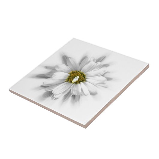 Blüte in Weiß Fliese (Seite)