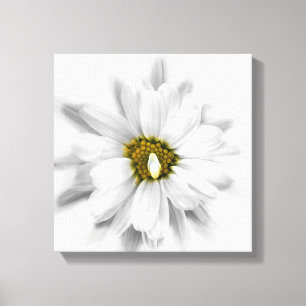 Blüte in Weiß Leinwanddruck