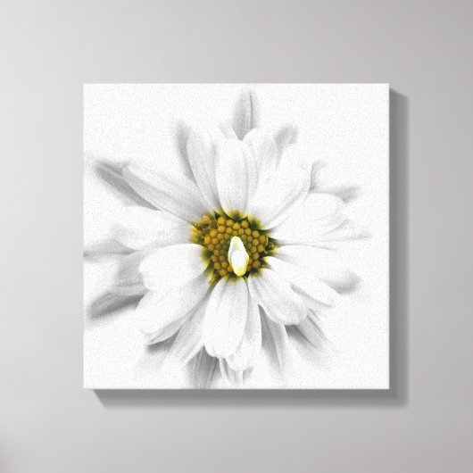 Blüte in Weiß Leinwanddruck (Vorderseite)