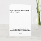 Blüte Karte (Rückseite)