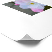 Blüte  poster (Ecke)