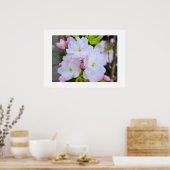 Blüte  poster (Küche)