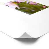 Blüte  poster (Ecke)