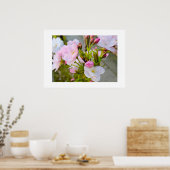 Blüte  poster (Küche)