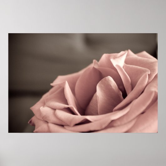 Blüte Poster (Vorne)