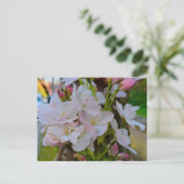 Blüte postkarte (Stehend Vorderseite)