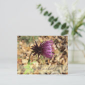 Blüte... Postkarte (Stehend Vorderseite)