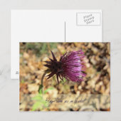 Blüte... Postkarte (Vorne/Hinten)